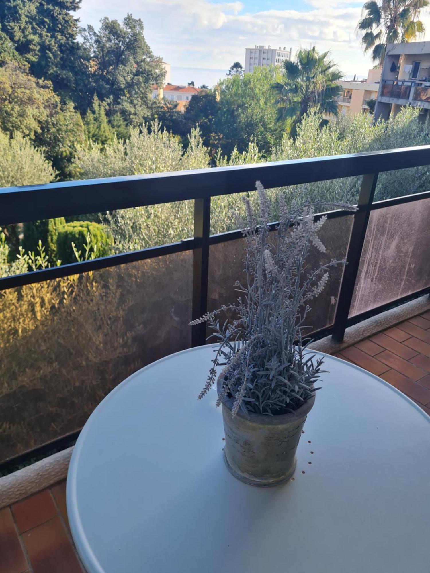 Les Palmiers A 700m De La Apartment Nice
